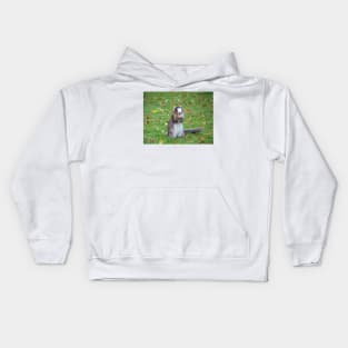 Fox Squirrel Kids Hoodie